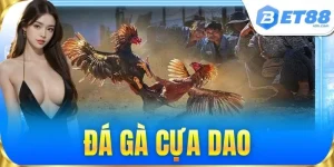 Đá Gà BET88 Kèo Cược Hấp Dẫn, Sàn Đấu Kịch Tính Mỗi Ngày