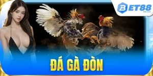 Đá Gà BET88 Kèo Cược Hấp Dẫn, Sàn Đấu Kịch Tính Mỗi Ngày