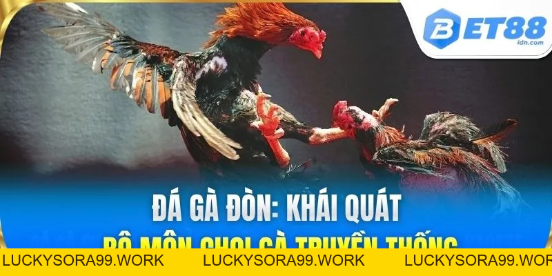 Đá Gà Đòn BET88 - Kinh Nghiệm Cược Sới Gà Luôn Thắng