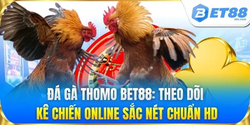 Đá Gà Thomo - Cập Nhật Link Xem Trực Tiếp Mới Nhất 2026