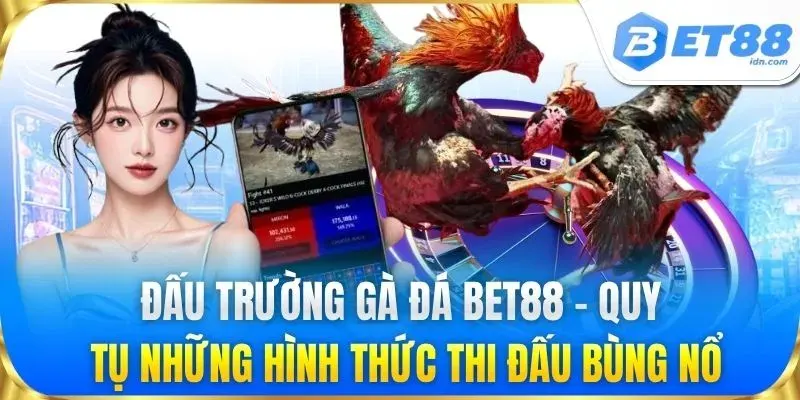Đá Gà BET88 Kèo Cược Hấp Dẫn, Sàn Đấu Kịch Tính Mỗi Ngày