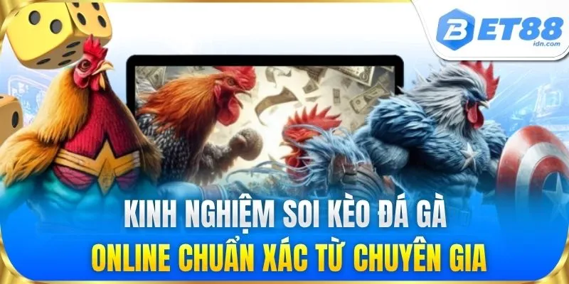 Đá Gà Trực Tiếp Hôm Nay - Link Xem Trực Tuyến Tại BET88