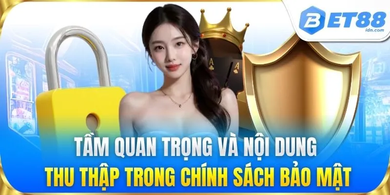 Chính Sách Bảo Mật BET88 - Nâng Cao Trải Nghiệm Đặt Cược